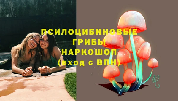 стафф Бородино