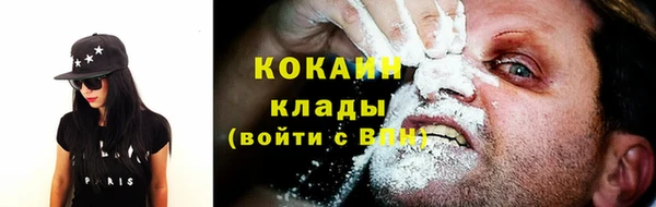 spice Богородск