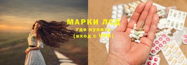 стафф Бородино