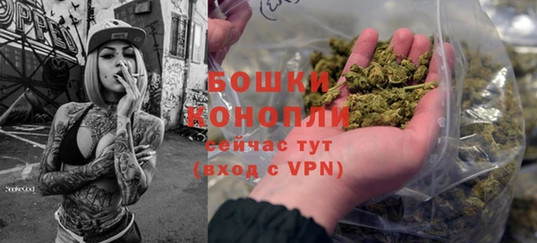 стафф Бородино