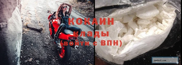 стафф Бородино