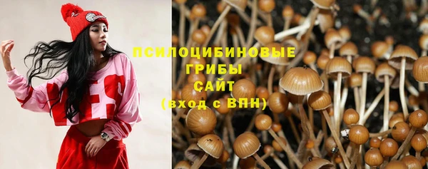 spice Богородск