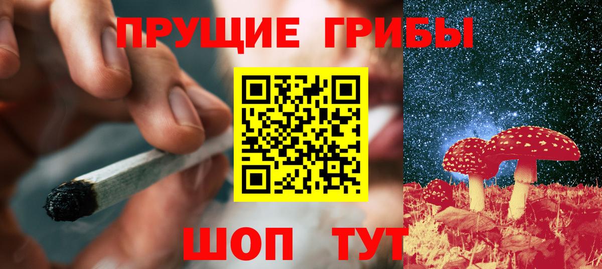 Галлюциногенные грибы Psilocybe  Вход с VPN  Псилоцибиновые грибы ЛСД  Видное 