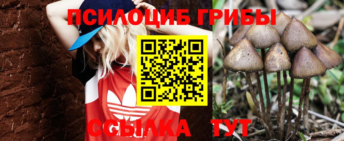 Псилоцибиновые грибы прущие грибы Видное